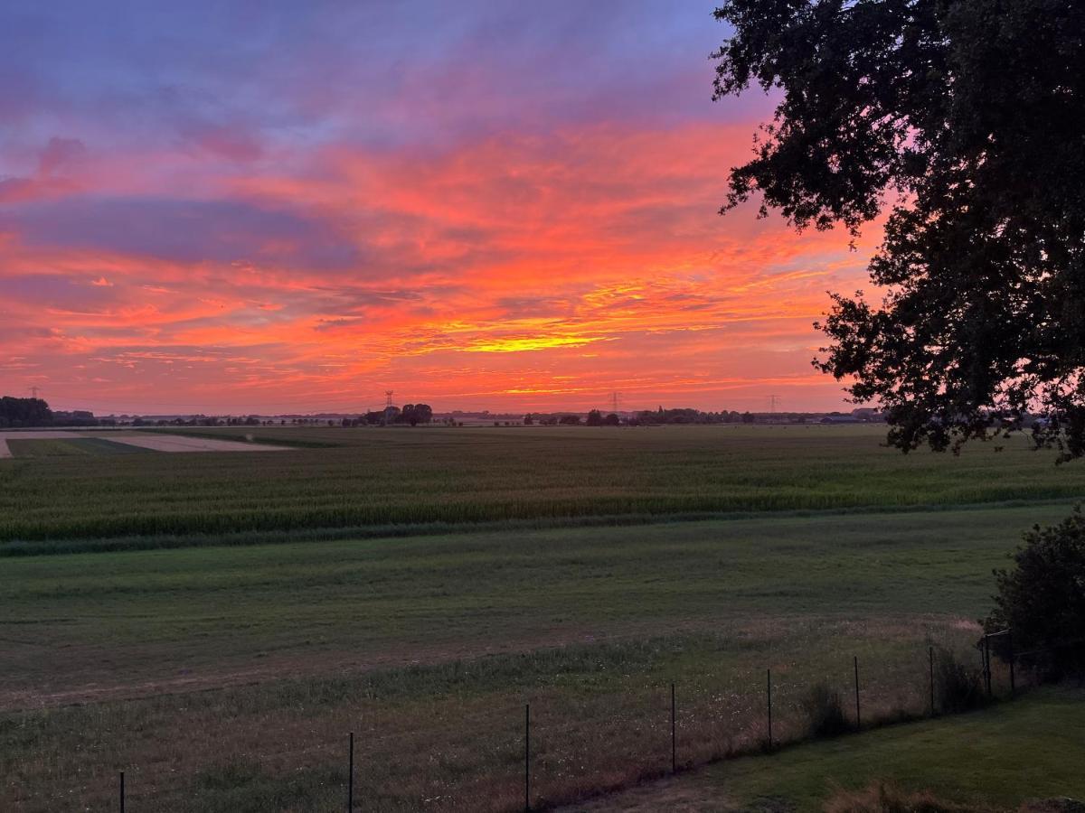 B&B Op De Brabantse Wal Halsteren Dış mekan fotoğraf